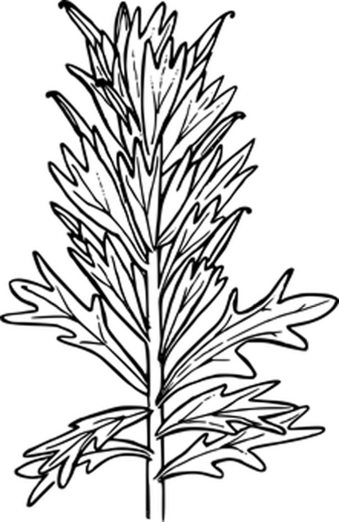 Minimalist Black Wallpaper: Sleek Uniform Background Design
