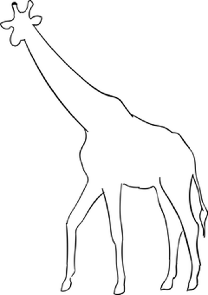 Minimalist Black Wallpaper - Versatile Background for Digital Devices