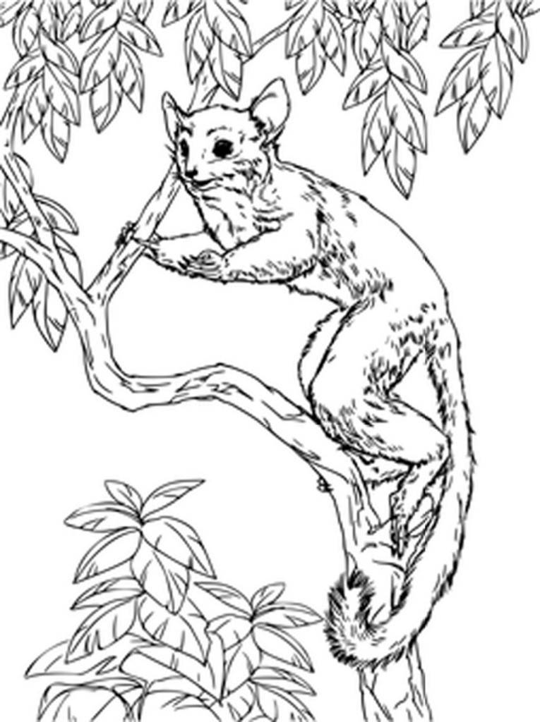 Minimalist Black Wallpaper: Versatile Blank Background Template