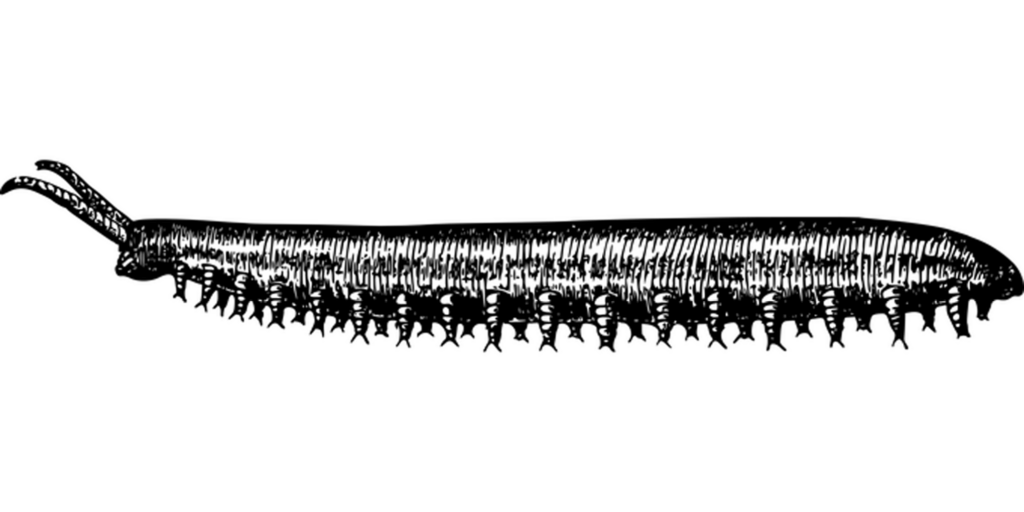 Versatile Minimalist Black Screen Wallpaper - Perfect Background
