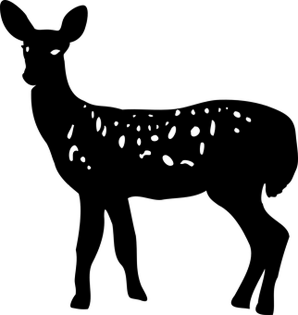 Minimalist Black Screen Wallpaper - Versatile Background for Designs