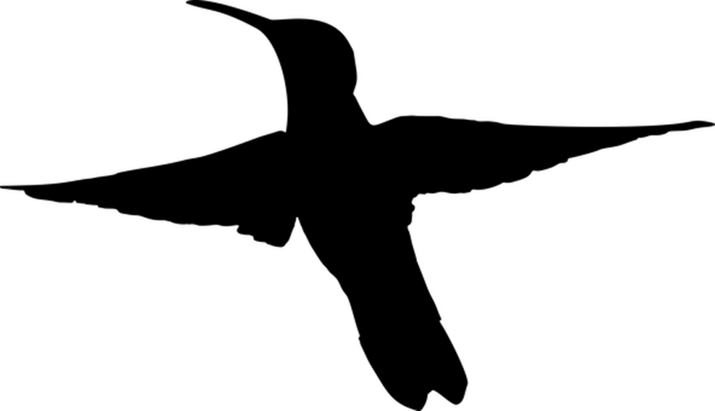 Minimalist Black Screen Wallpaper - Versatile Placeholder Background