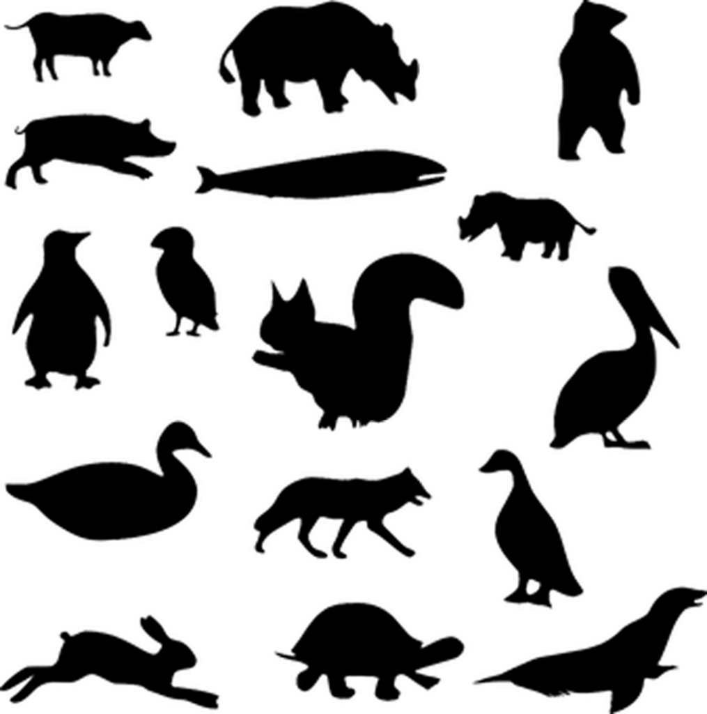 Minimalist Solid Black Wallpaper - Versatile Digital Background