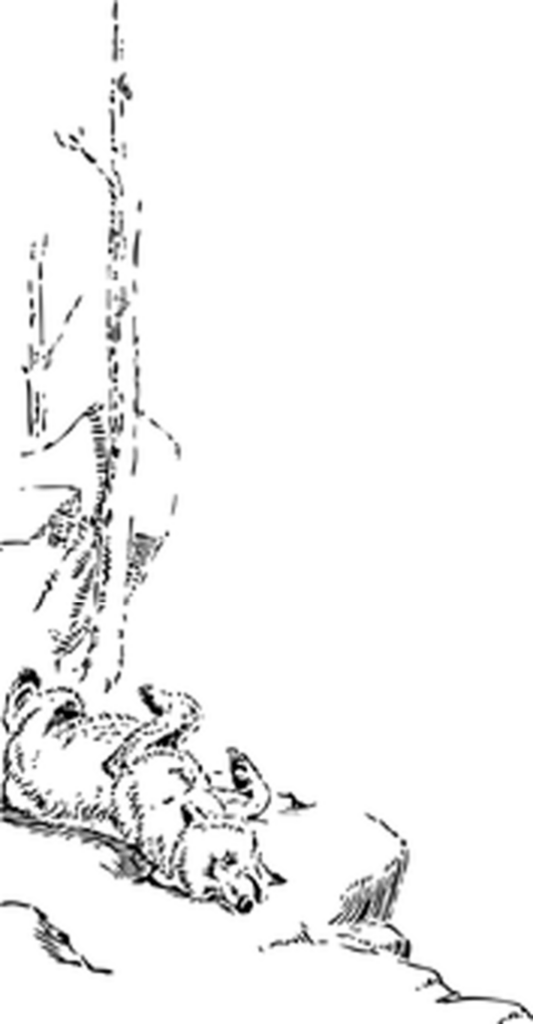 Minimalist Black Background Wallpaper with Centered Black Square
