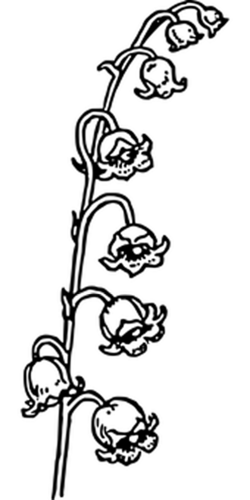 Minimalist Black Wallpaper with Central Square Design