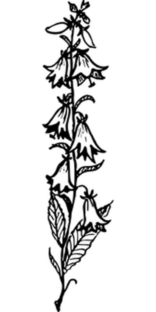Minimalist Black Wallpaper with Central Square Design