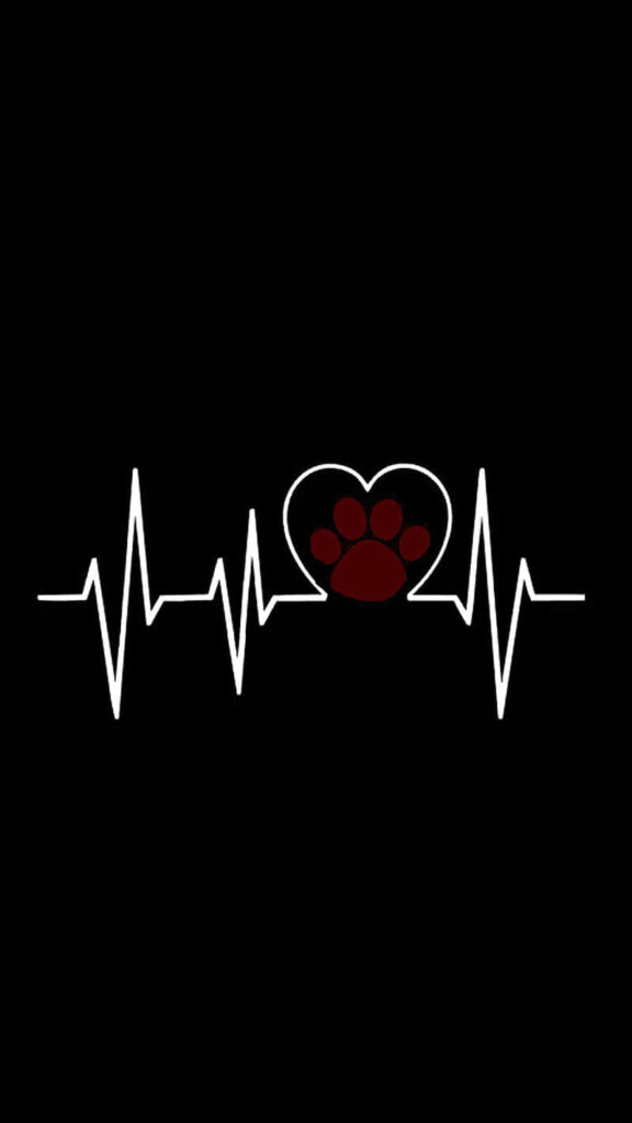Minimalist Black Wallpaper: Heartbeat Line & Red Paw Print Love