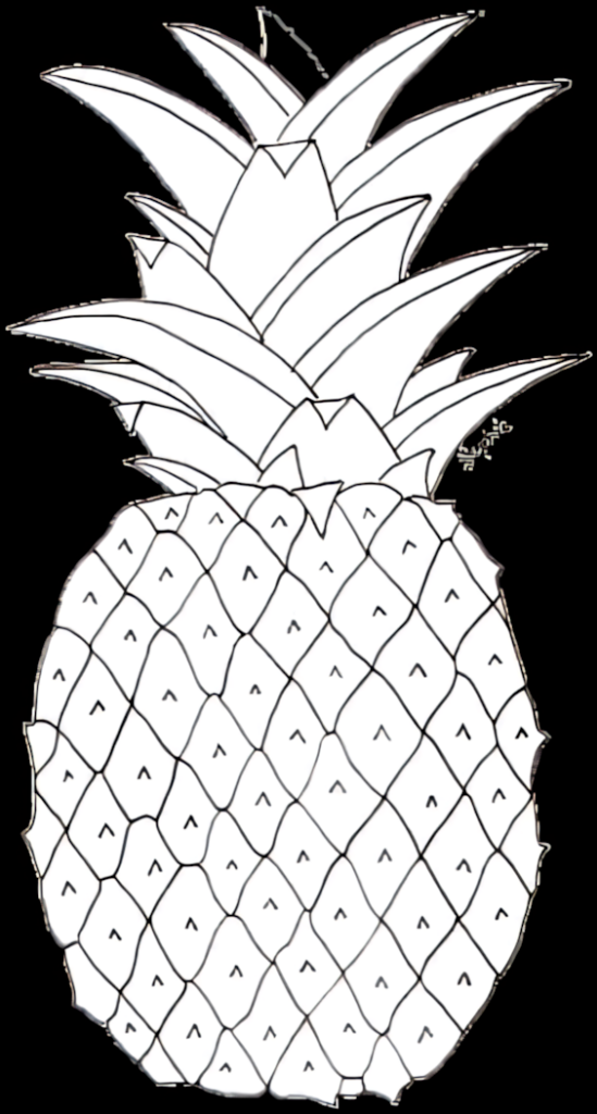 Minimalist Black & White Pineapple Sketch for Creative Wallpaper