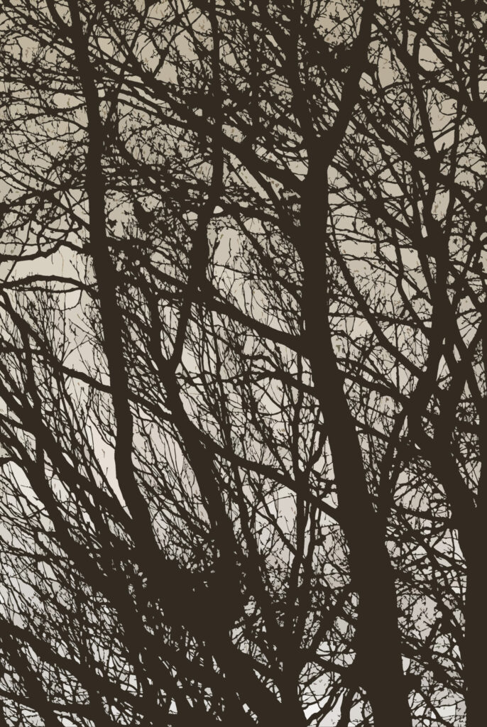 Minimalist Black-and-White Tree Branch Wallpaper Design Background
