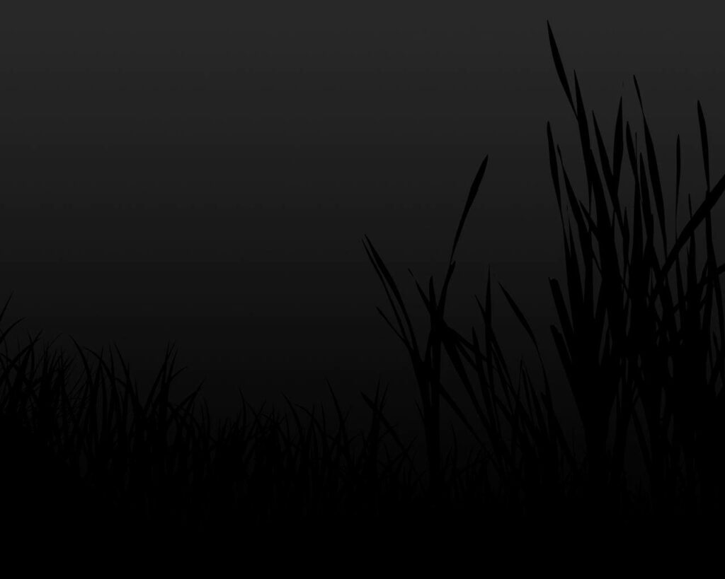 Grass Silhouettes on Pitch Black Canvas Wallpaper