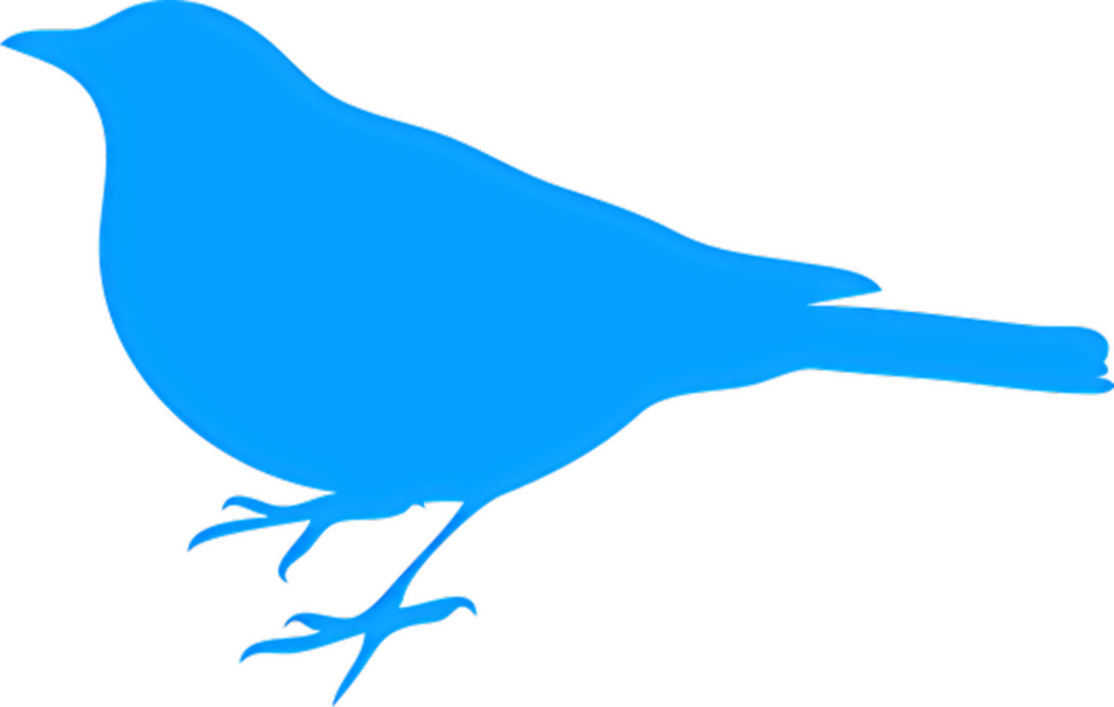 Minimalist Blue Bird Silhouette Wallpaper - Eye-Catching Background