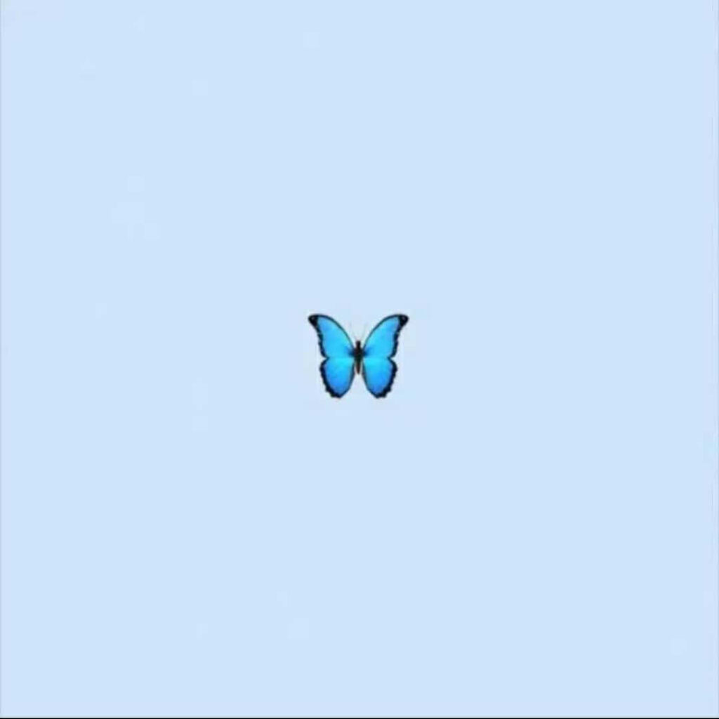Minimalist Blue Butterfly Wallpaper for TikTok Profile