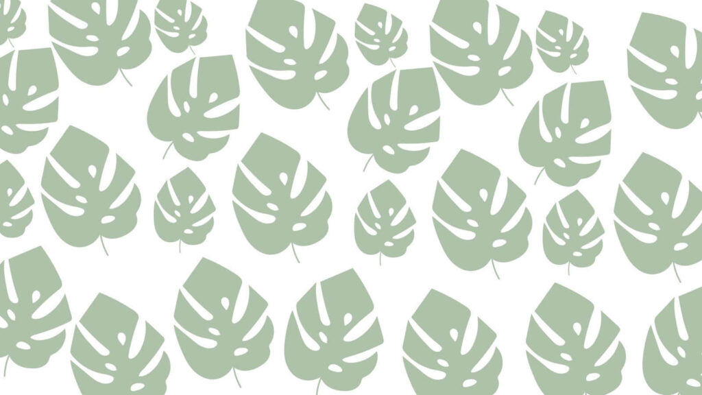 Minimalist Boho Wallpaper: Green Monstera Leaves on White Background