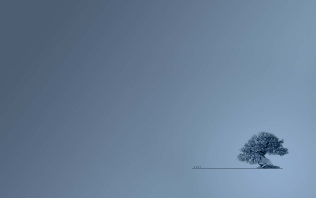 Tranquil Minimalist Wallpaper: Solitary Bonsai on Gradient Blue