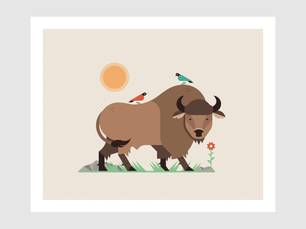 Minimalist cartoon buffalo with colorful birds on grass soft beige background playful nature wallpaper