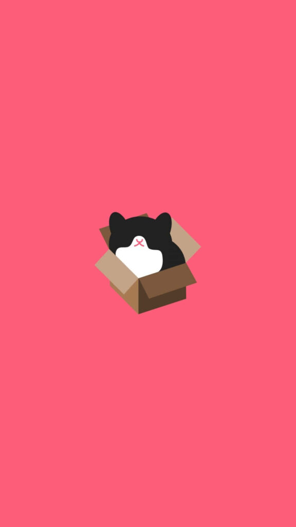 Minimalist Cute Cat in Box Wallpaper - Pink Background Design