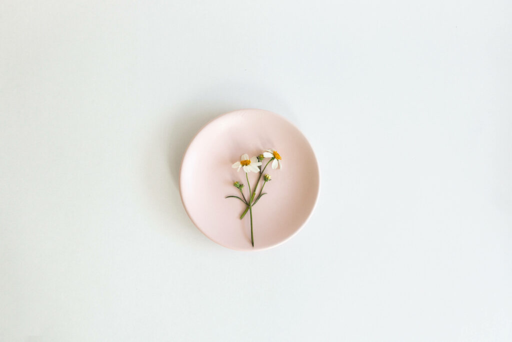 Tranquil Minimalist Wallpaper: Chamomile on Pink Plate