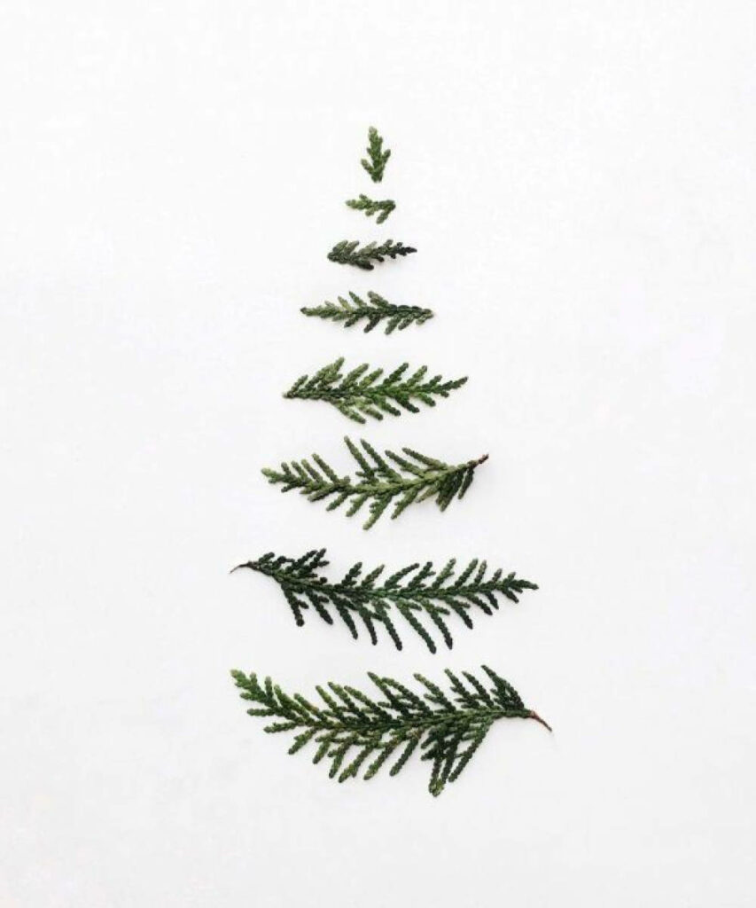 Minimalist Christmas Tree Wallpaper: Green Leaves on White Background