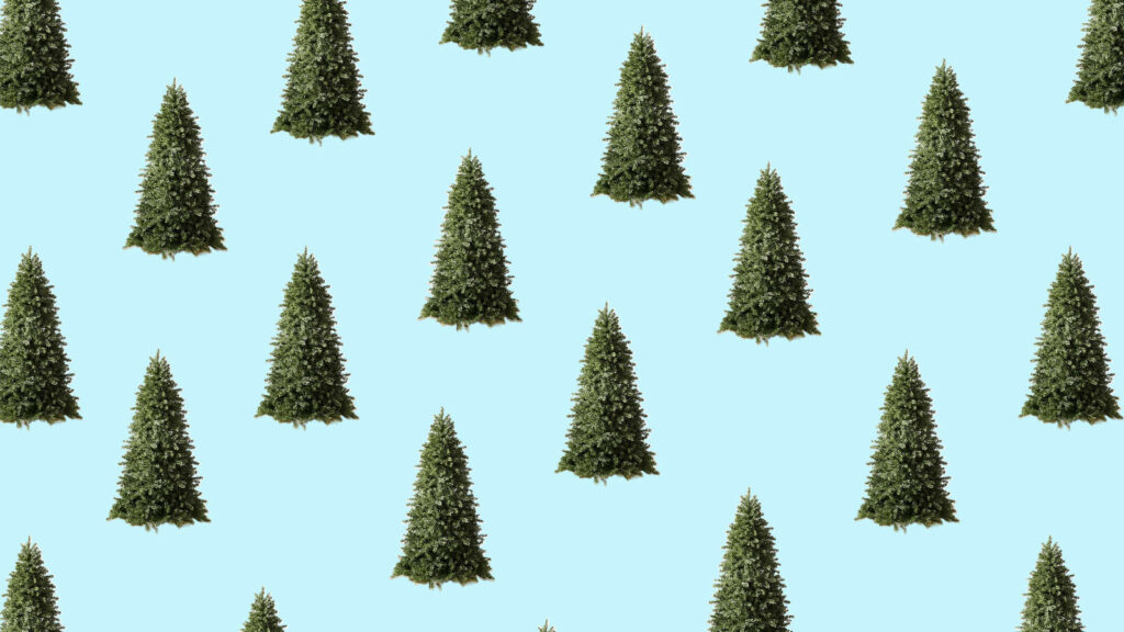 Minimalist Christmas Tree Wallpaper on Light Blue Background