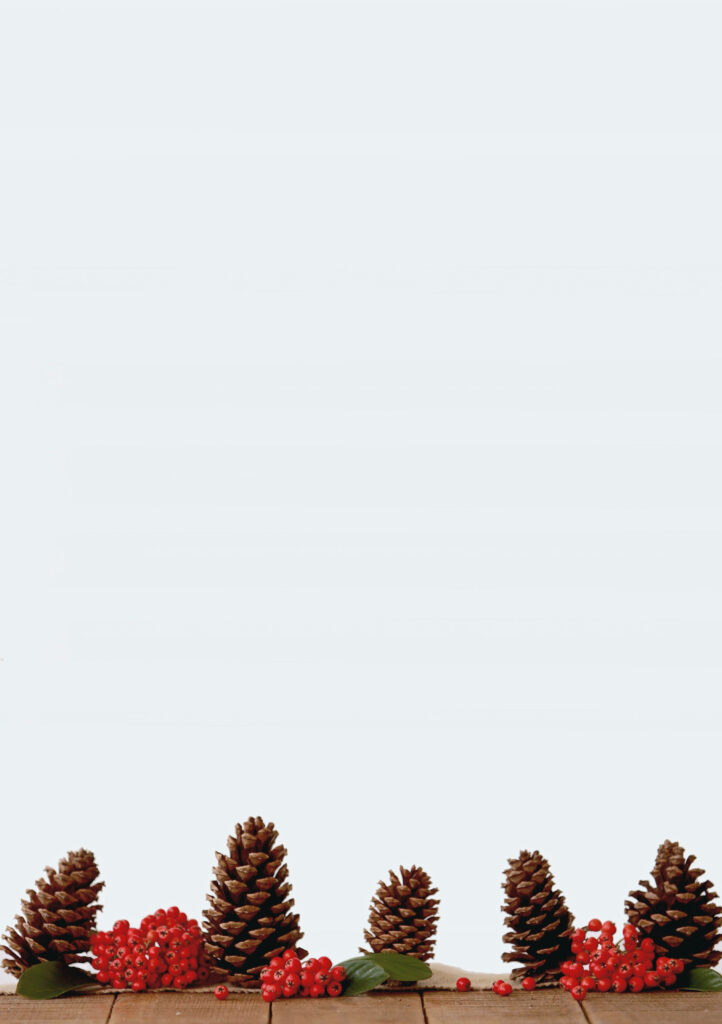 Minimalist Christmas Wallpaper: Pine Cones & Red Berries Design