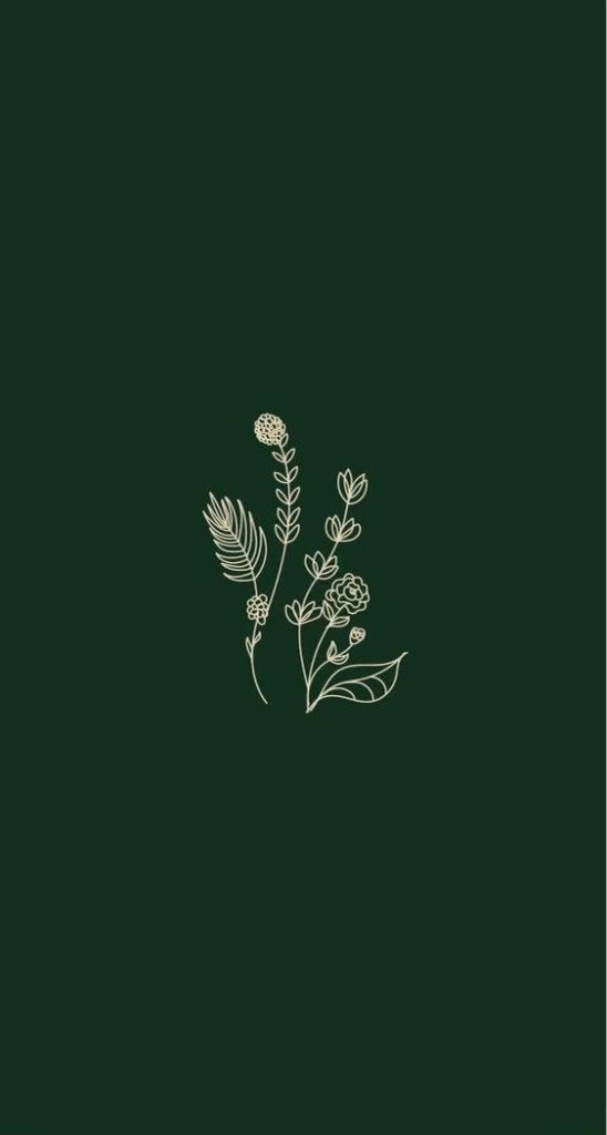 Minimalist cream botanical line art wildflower on deep forest green elegant wallpaper background