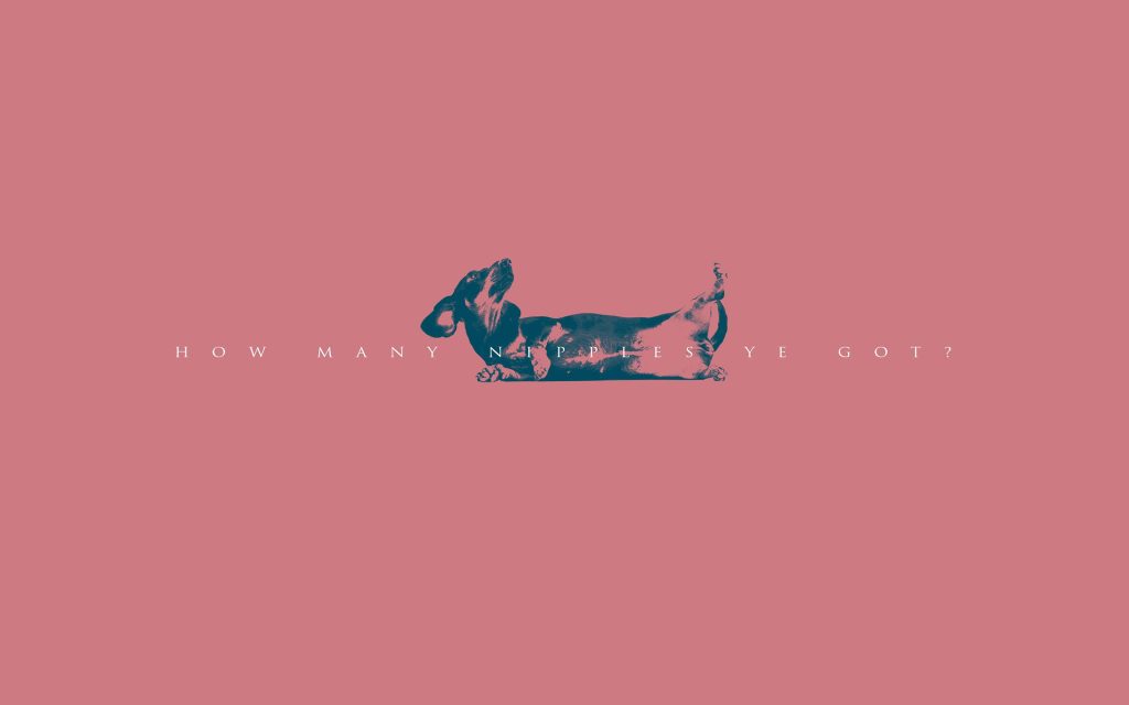 Minimalist dachshund wallpaper with humorous question on muted pink background digital art