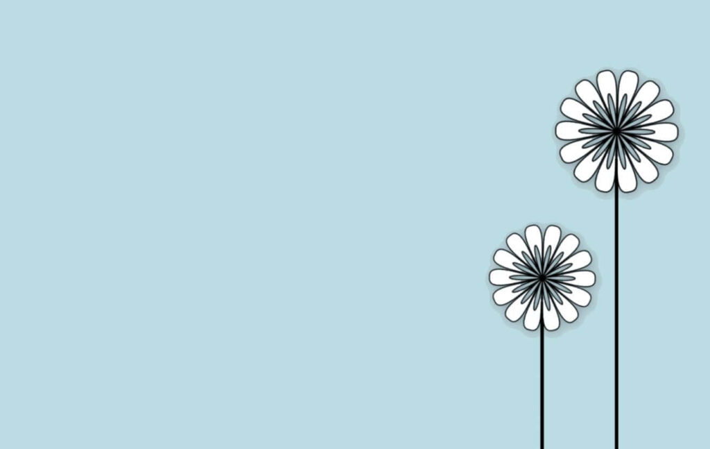 Minimalist Daisy Flower Wallpaper on Soft Blue Background