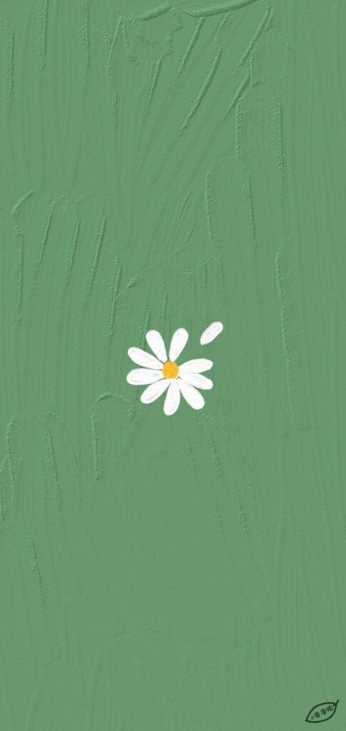 Minimalist Mint Green Wallpaper with White Daisy Design