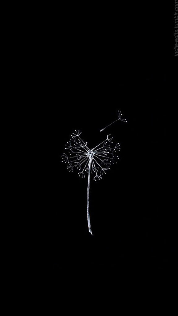 Elegant Dandelion Minimalist Wallpaper on Black Background