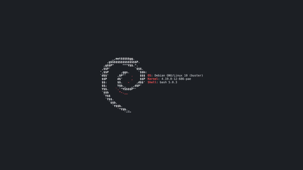 Minimalist Debian wallpaper with ASCII swirl and system info on dark tech-inspired background
