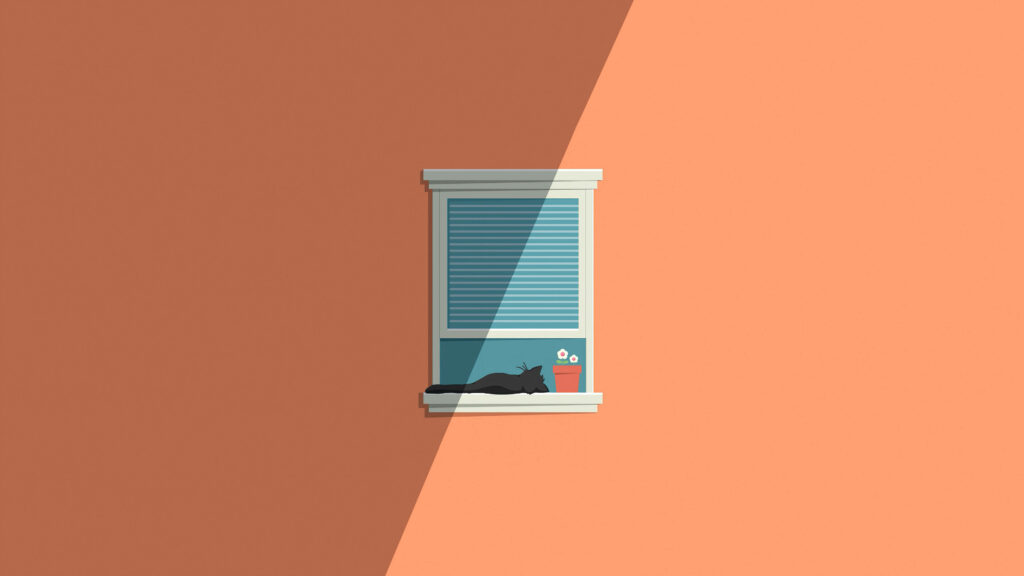 Minimalist Peach Wallpaper: Window, Cat & Red Pot in Simple Design