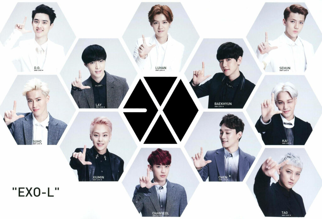 Minimalist EXO Hexagonal Wallpaper: K-Pop Member Portraits
