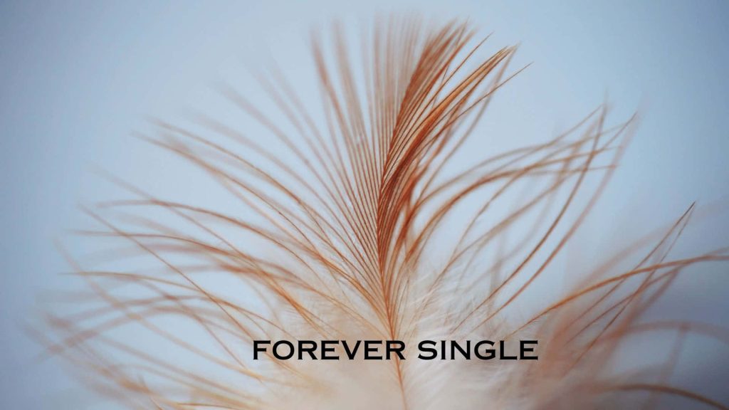 Minimalist wallpaper with light brown feather close-up and centered Forever Single text design