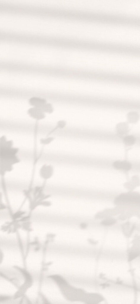 Minimalistic Floral Shadows Wallpaper - Serene Grayscale Design