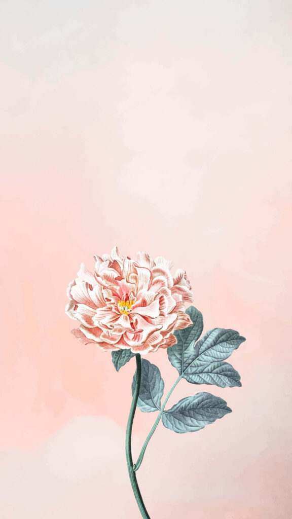 Delicate Flower Minimalist Wallpaper with Lush Green Leaves