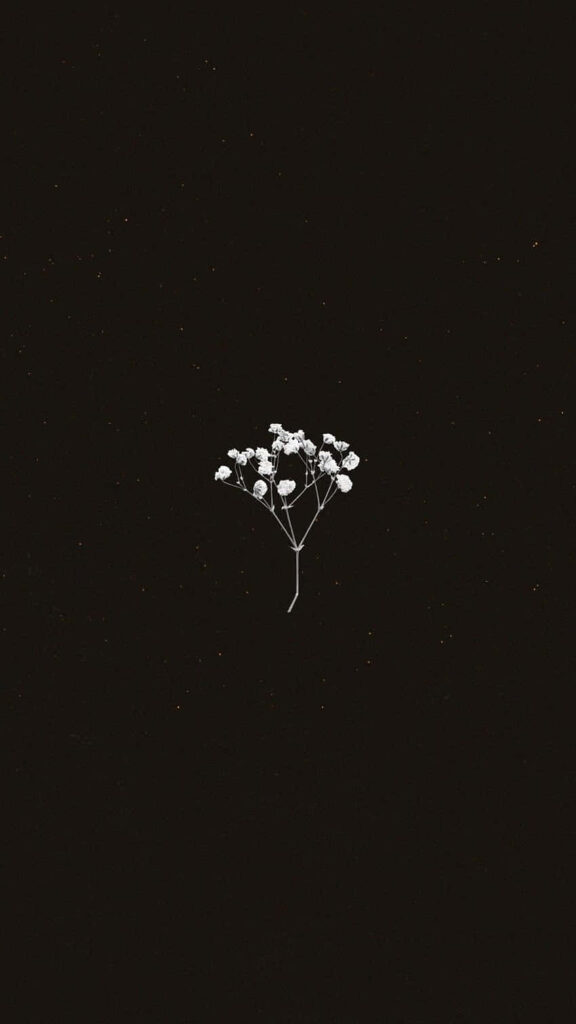 Minimalist Floral Wallpaper: Elegant Small Flower on Dark Background