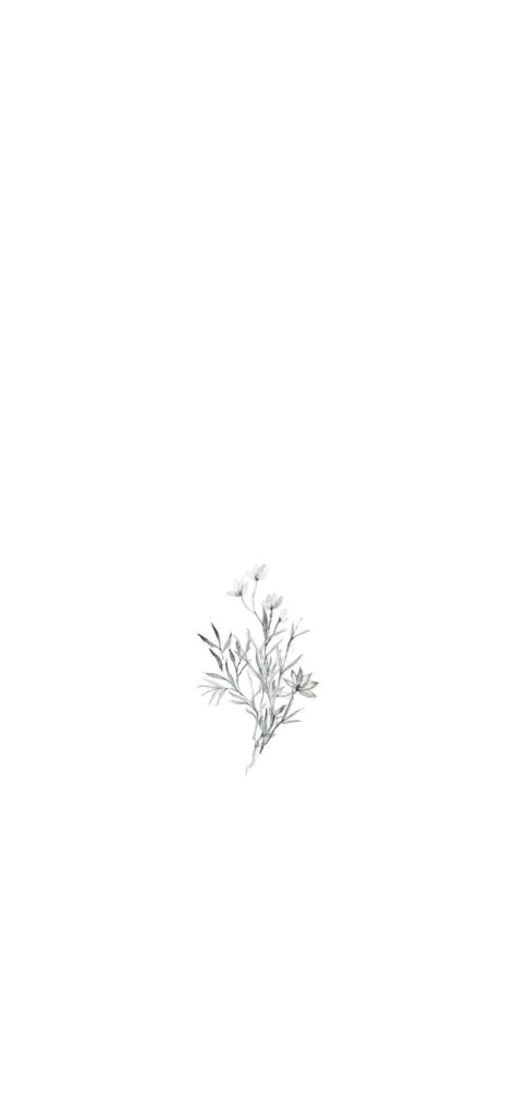 Minimalist Flower Wallpaper: Serene & Elegant Background Design