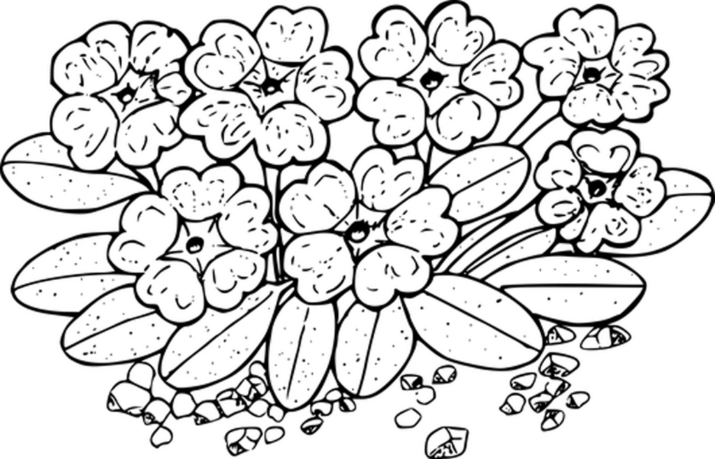 Minimalist Flower Wallpaper on Black Background - Elegant Design