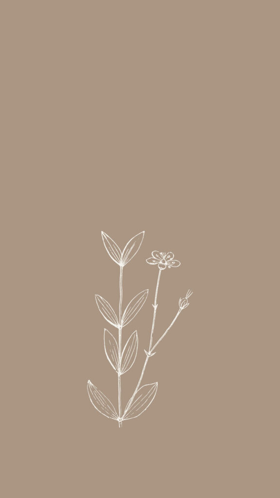 Minimalist Flower Outline Wallpaper on Soft Brown Background