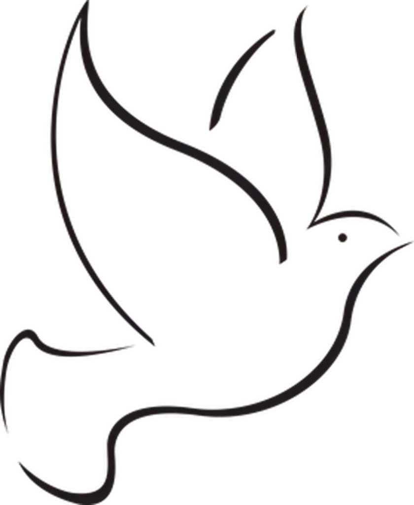 Minimalist Bird Silhouette Wallpaper - Serene Background Design