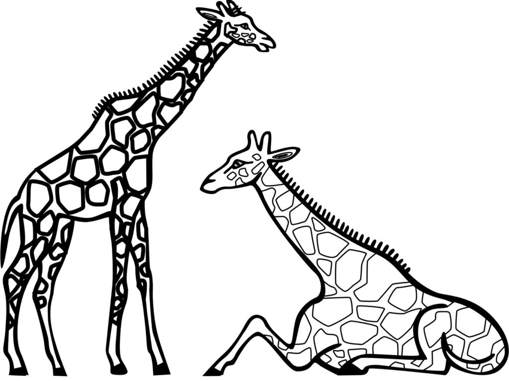 Elegant Giraffe Line Art Wallpaper: Minimalist Black Background