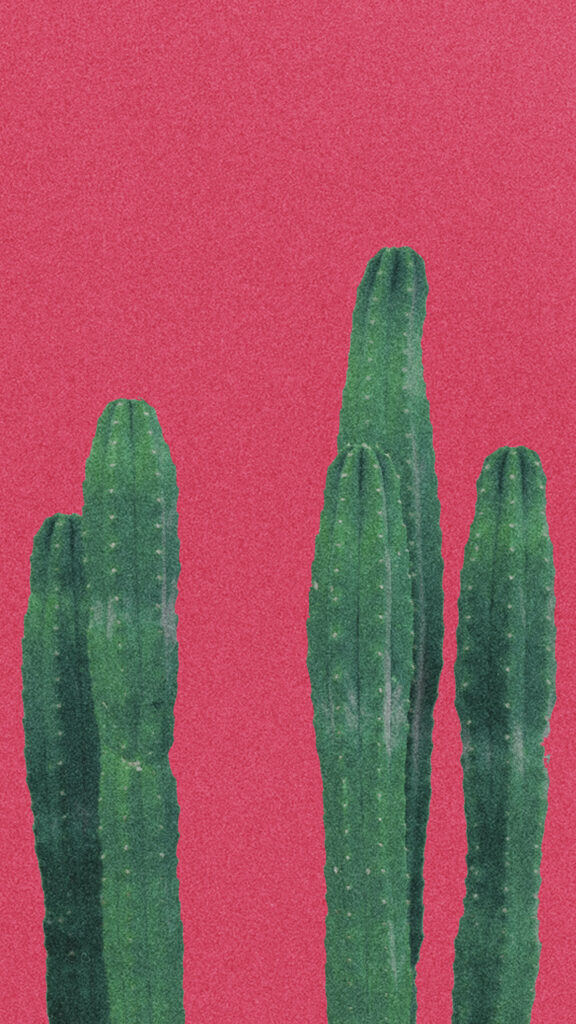 Minimalist wallpaper with tall green cacti on a bold red textured background for modern decor