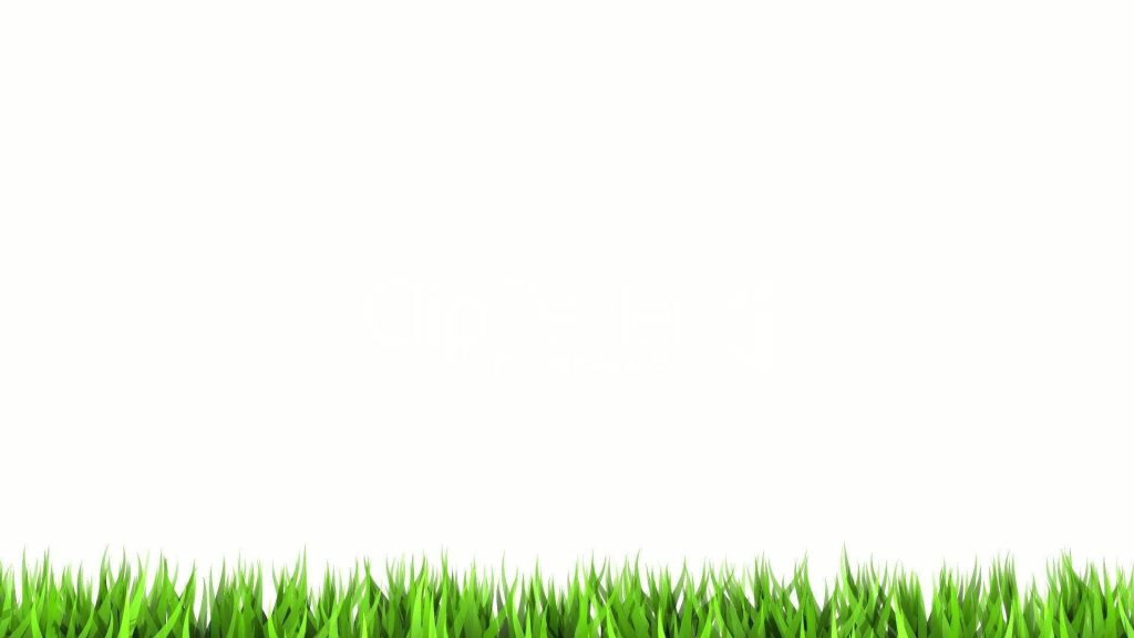 Minimalist wallpaper with vibrant green grass blades on white background for fresh desktop