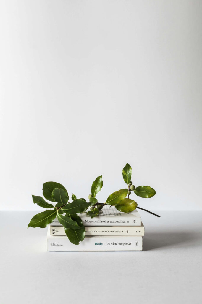 Minimalist Green Leaves Wallpaper: Serene Books & Light Background