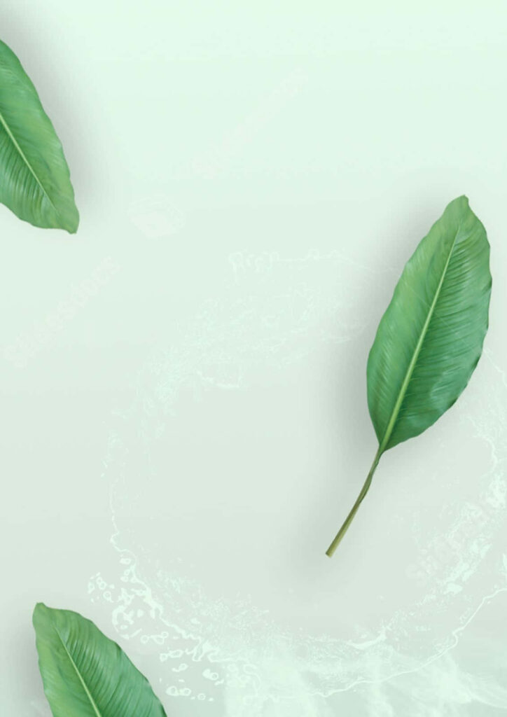 Minimalist Green Leaves Wallpaper on Soft Pastel Background