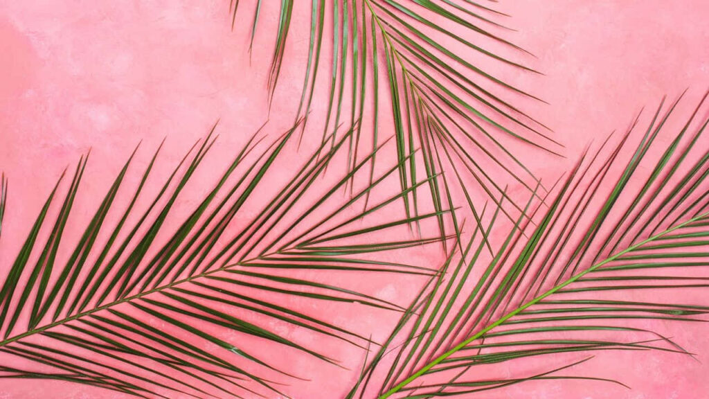 Serene Minimalist Wallpaper: Green Palm Leaves on Pastel Pink Background