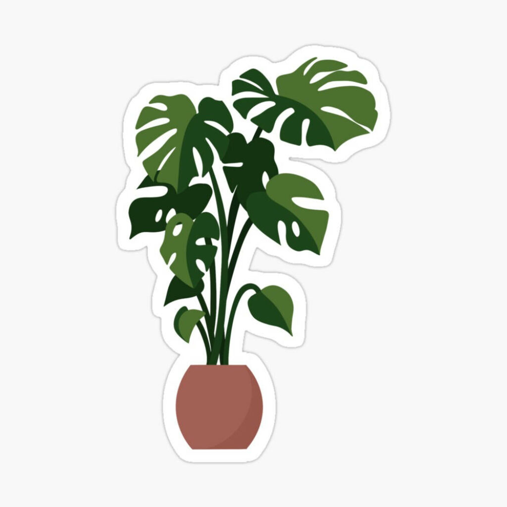 Minimalist Green Plant Wallpaper: Modern Brown Pot Design
