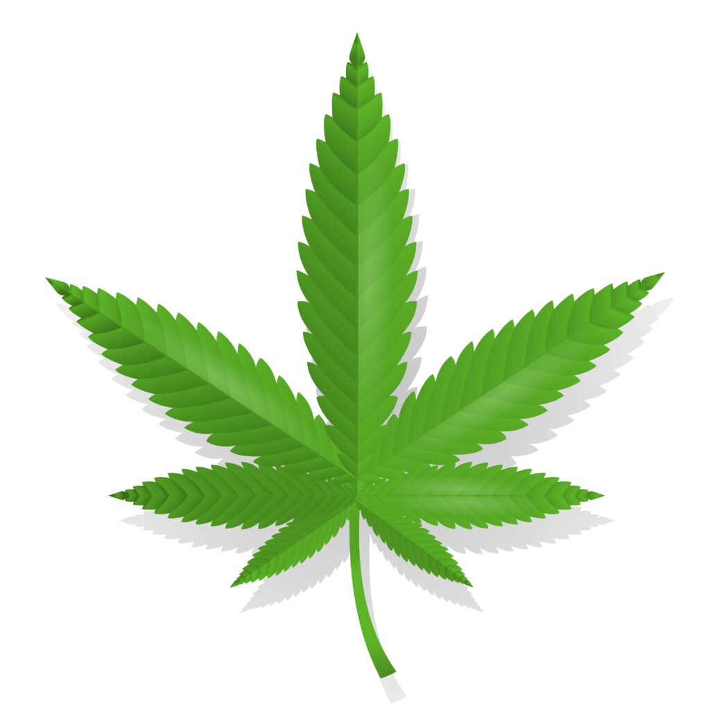 Vibrant Green Weed Leaf Minimalist Wallpaper Background