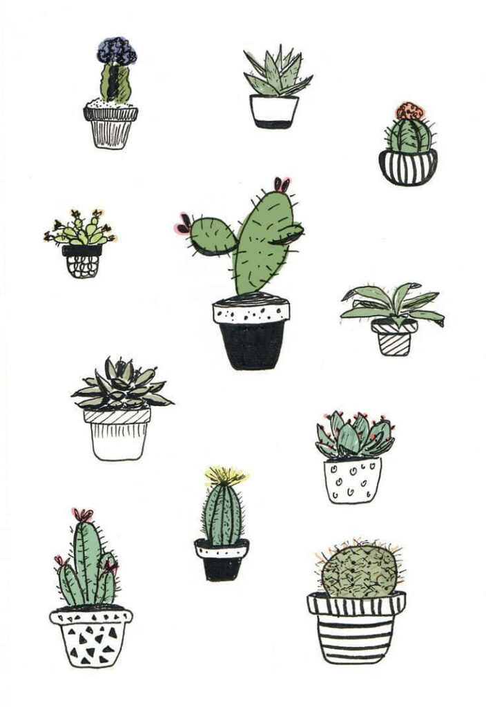 Hand-drawn potted cacti and succulents on white background minimalist aesthetic wallpaper design