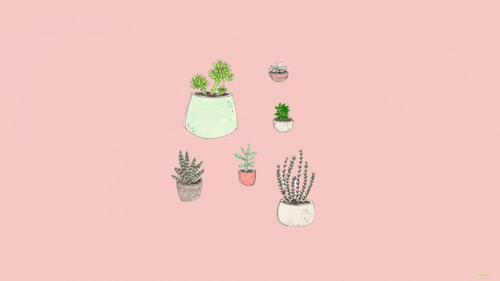 Hand-drawn potted succulents on pastel pink background minimalist aesthetic wallpaper design